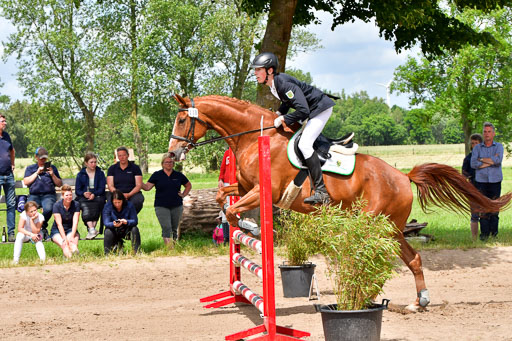 Goldene Schärpe PFerde  in Löningen  11+12.6.22 | 22062022 Springen 2 Abt _287 