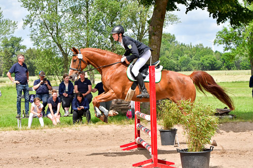 Goldene Schärpe PFerde  in Löningen  11+12.6.22 | 22062022 Springen 2 Abt _288 