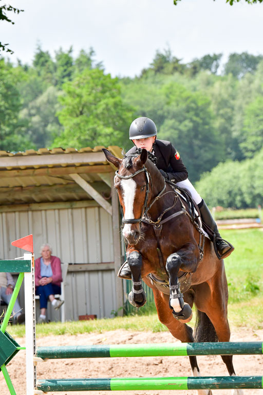 Goldene Schärpe PFerde  in Löningen  11+12.6.22 | 22062022 Springen 2 Abt _292 