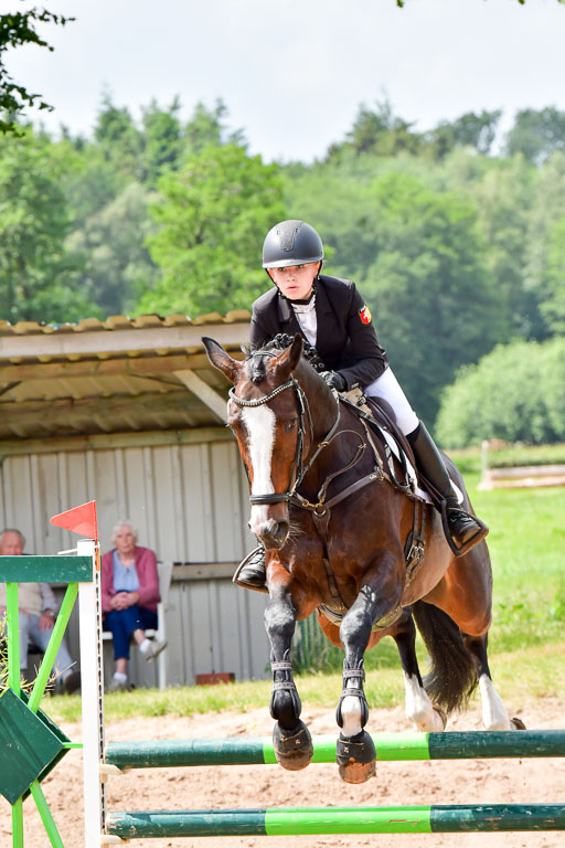 Goldene Schärpe PFerde  in Löningen  11+12.6.22 | 22062022 Springen 2 Abt _293 