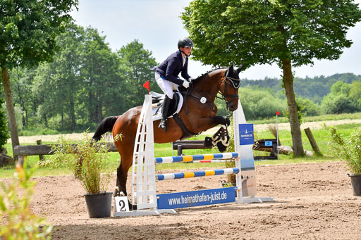 Goldene Schärpe PFerde  in Löningen  11+12.6.22 | 22062022 Springen 2 Abt _299 