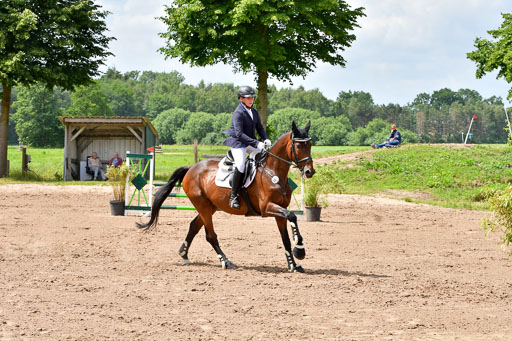 Goldene Schärpe PFerde  in Löningen  11+12.6.22 | 22062022 Springen 2 Abt _300 