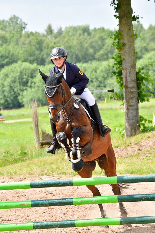 Goldene Schärpe PFerde  in Löningen  11+12.6.22 | 22062022 Springen 2 Abt _302 