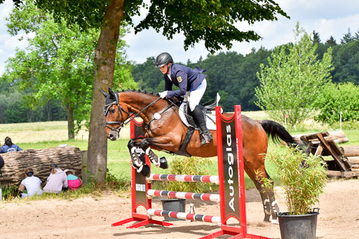 Goldene Schärpe PFerde  in Löningen  11+12.6.22 | 22062022 Springen 2 Abt _307 