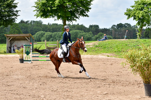 Goldene Schärpe PFerde  in Löningen  11+12.6.22 | 22062022 Springen 2 Abt _309 