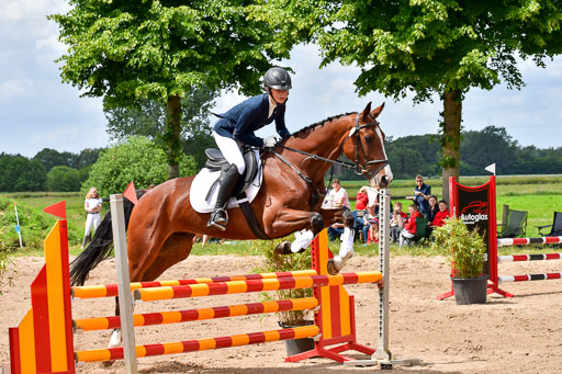 Goldene Schärpe PFerde  in Löningen  11+12.6.22 | 22062022 Springen 2 Abt _310 