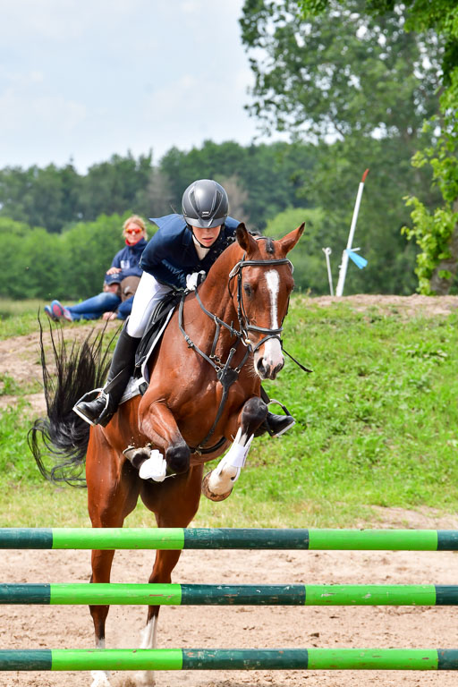 Goldene Schärpe PFerde  in Löningen  11+12.6.22 | 22062022 Springen 2 Abt _311 