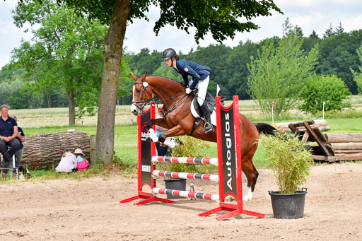 Goldene Schärpe PFerde  in Löningen  11+12.6.22 | 22062022 Springen 2 Abt _315 