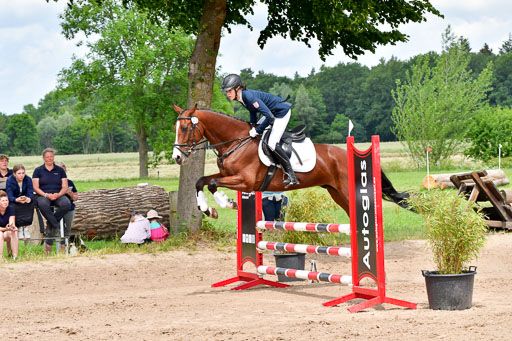 Goldene Schärpe PFerde  in Löningen  11+12.6.22 | 22062022 Springen 2 Abt _316 