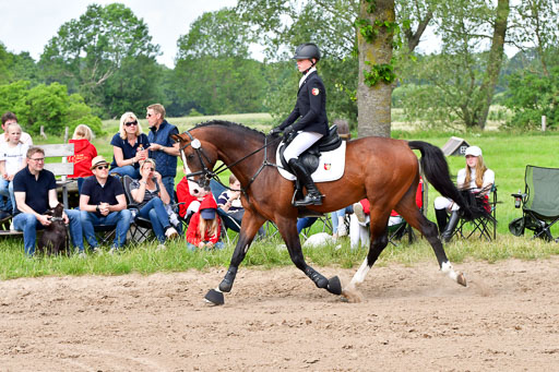 Goldene Schärpe PFerde  in Löningen  11+12.6.22 | 22062022 Springen 2 Abt _317 