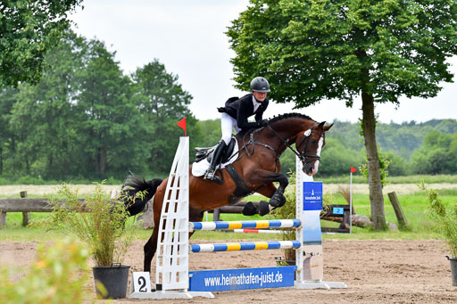 Goldene Schärpe PFerde  in Löningen  11+12.6.22 | 22062022 Springen 2 Abt _318 