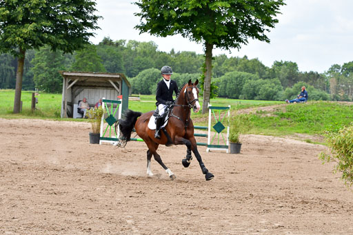 Goldene Schärpe PFerde  in Löningen  11+12.6.22 | 22062022 Springen 2 Abt _319 