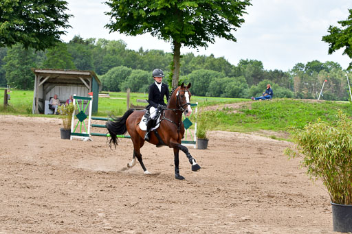Goldene Schärpe PFerde  in Löningen  11+12.6.22 | 22062022 Springen 2 Abt _320 