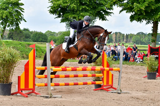 Goldene Schärpe PFerde  in Löningen  11+12.6.22 | 22062022 Springen 2 Abt _321 