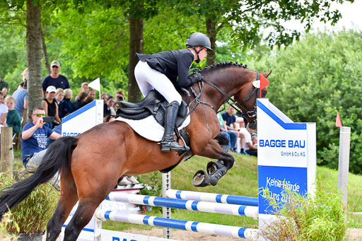 Goldene Schärpe PFerde  in Löningen  11+12.6.22 | 22062022 Springen 2 Abt _322 