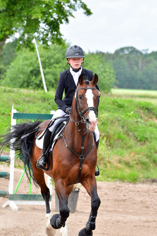 Goldene Schärpe PFerde  in Löningen  11+12.6.22 | 22062022 Springen 2 Abt _324 