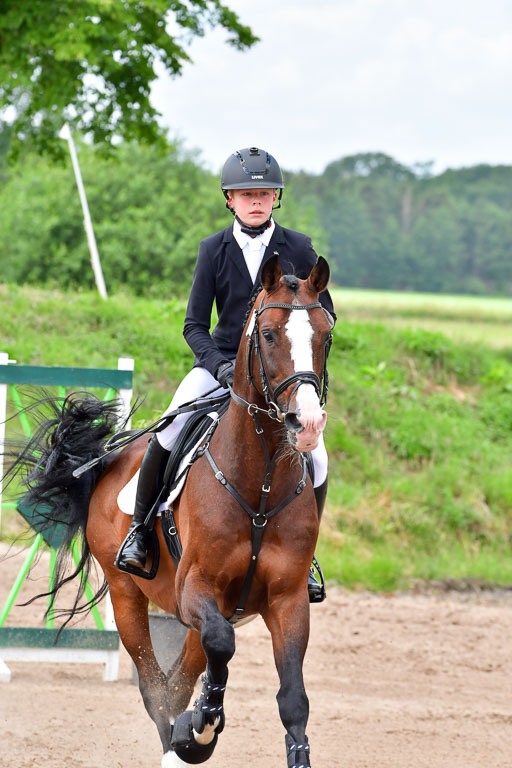 Goldene Schärpe PFerde  in Löningen  11+12.6.22 | 22062022 Springen 2 Abt _325 