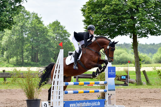 Goldene Schärpe PFerde  in Löningen  11+12.6.22 | 22062022 Springen 2 Abt _340 