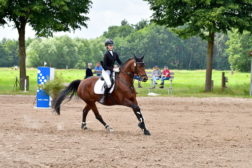 Goldene Schärpe PFerde  in Löningen  11+12.6.22 | 22062022 Springen 2 Abt _341 