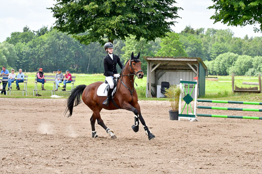 Goldene Schärpe PFerde  in Löningen  11+12.6.22 | 22062022 Springen 2 Abt _342 