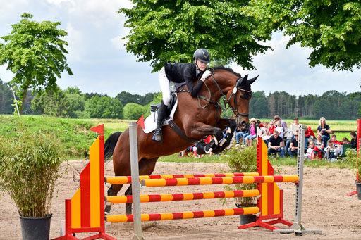 Goldene Schärpe PFerde  in Löningen  11+12.6.22 | 22062022 Springen 2 Abt _343 