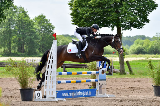 Goldene Schärpe PFerde  in Löningen  11+12.6.22 | 22062022 Springen 2 Abt _352 