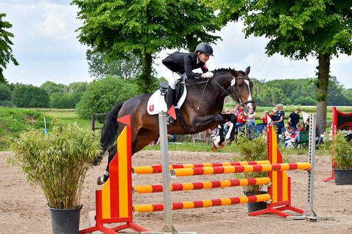 Goldene Schärpe PFerde  in Löningen  11+12.6.22 | 22062022 Springen 2 Abt _354 