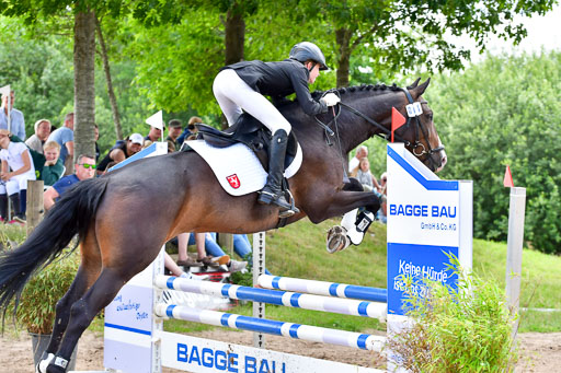 Goldene Schärpe PFerde  in Löningen  11+12.6.22 | 22062022 Springen 2 Abt _355 
