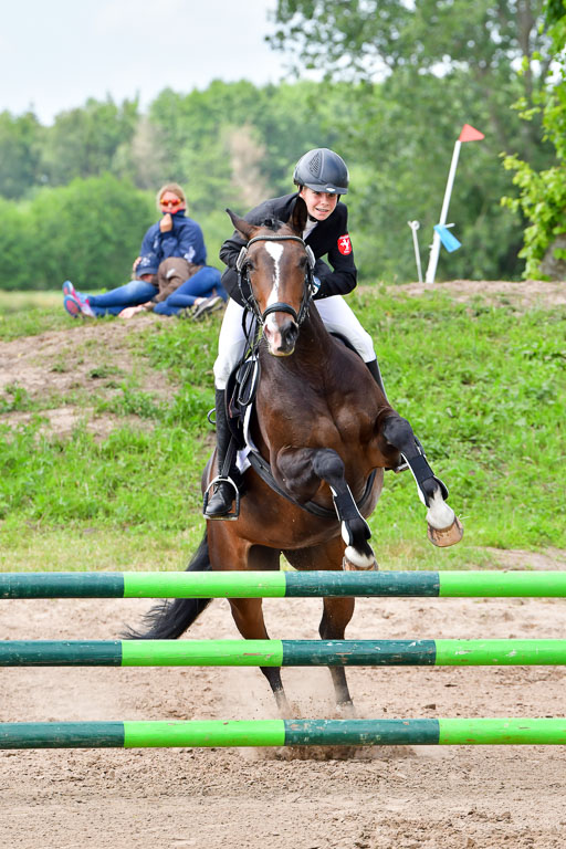 Goldene Schärpe PFerde  in Löningen  11+12.6.22 | 22062022 Springen 2 Abt _356 