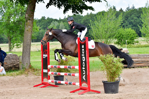 Goldene Schärpe PFerde  in Löningen  11+12.6.22 | 22062022 Springen 2 Abt _361 