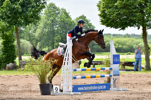 Goldene Schärpe PFerde  in Löningen  11+12.6.22 | 22062022 Springen 2 Abt _364 