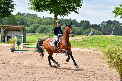 Goldene Schärpe PFerde  in Löningen  11+12.6.22 | 22062022 Springen 2 Abt _366 