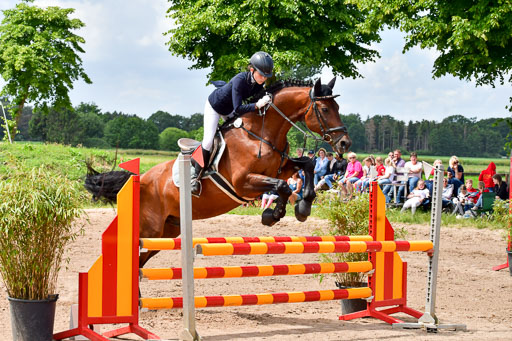 Goldene Schärpe PFerde  in Löningen  11+12.6.22 | 22062022 Springen 2 Abt _367 