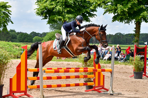 Goldene Schärpe PFerde  in Löningen  11+12.6.22 | 22062022 Springen 2 Abt _368 