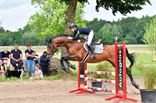 Goldene Schärpe PFerde  in Löningen  11+12.6.22 | 22062022 Springen 2 Abt _373 