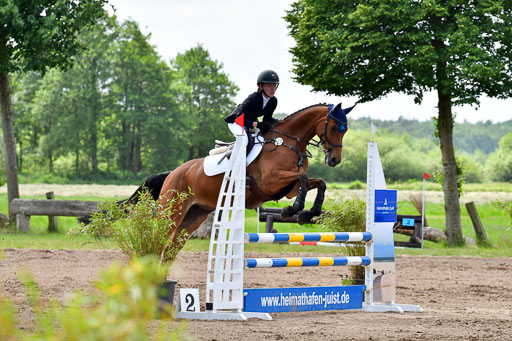 Goldene Schärpe PFerde  in Löningen  11+12.6.22 | 22062022 Springen 2 Abt _375 