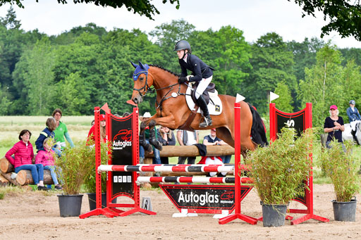 Goldene Schärpe PFerde  in Löningen  11+12.6.22 | 22062022 Springen 2 Abt _382 