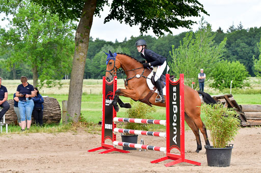Goldene Schärpe PFerde  in Löningen  11+12.6.22 | 22062022 Springen 2 Abt _383 