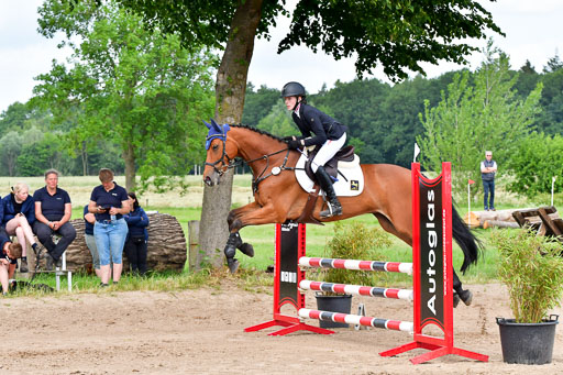 Goldene Schärpe PFerde  in Löningen  11+12.6.22 | 22062022 Springen 2 Abt _384 