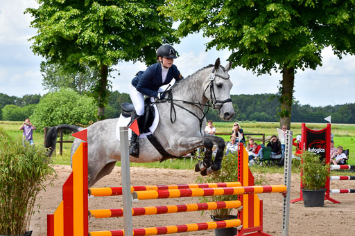 Goldene Schärpe PFerde  in Löningen  11+12.6.22 | 22062022 Springen 2 Abt _388 