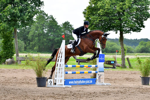 Goldene Schärpe PFerde  in Löningen  11+12.6.22 | 22062022 Springen 2 Abt _397 