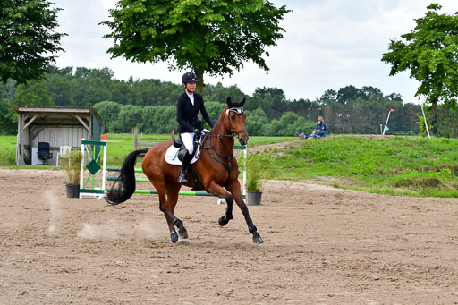 Goldene Schärpe PFerde  in Löningen  11+12.6.22 | 22062022 Springen 2 Abt _398 