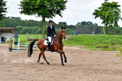 Goldene Schärpe PFerde  in Löningen  11+12.6.22 | 22062022 Springen 2 Abt _399 