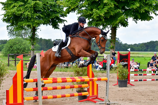 Goldene Schärpe PFerde  in Löningen  11+12.6.22 | 22062022 Springen 2 Abt _400 