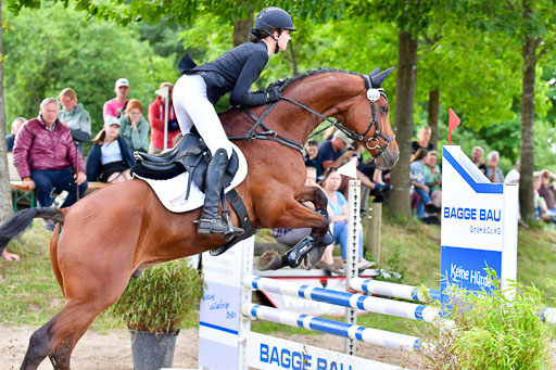 Goldene Schärpe PFerde  in Löningen  11+12.6.22 | 22062022 Springen 2 Abt _401 