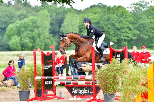 Goldene Schärpe PFerde  in Löningen  11+12.6.22 | 22062022 Springen 2 Abt _404 