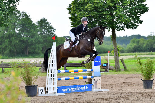 Goldene Schärpe PFerde  in Löningen  11+12.6.22 | 22062022 Springen 2 Abt _406 