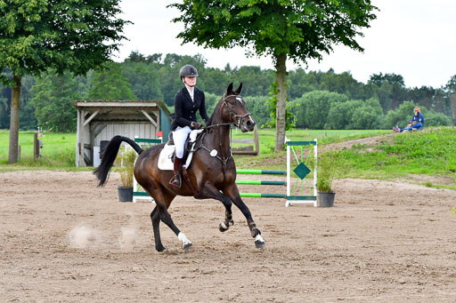 Goldene Schärpe PFerde  in Löningen  11+12.6.22 | 22062022 Springen 2 Abt _407 