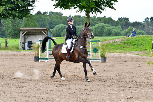 Goldene Schärpe PFerde  in Löningen  11+12.6.22 | 22062022 Springen 2 Abt _408 
