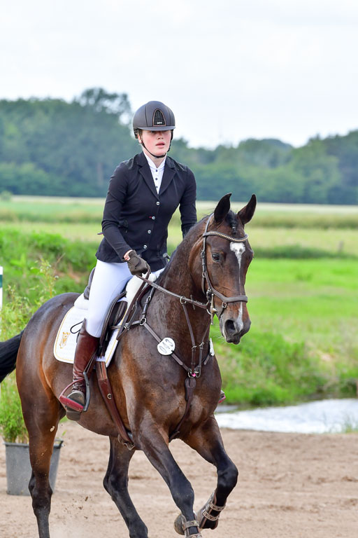 Goldene Schärpe PFerde  in Löningen  11+12.6.22 | 22062022 Springen 2 Abt _415 